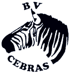 BVCebras